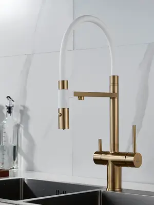 Смеситель для кухни с гибким изливом и фильтром Rose R958G