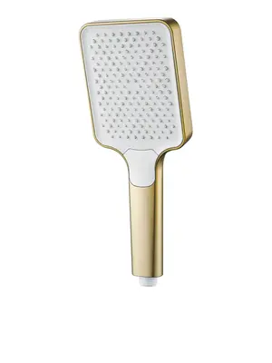 Душевая лейка Shevanik SH68G-1