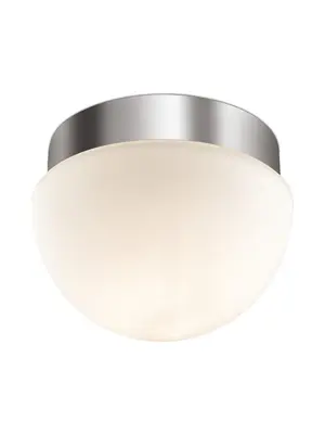 Накладной светильник Odeon Light Minkar 2443/1A