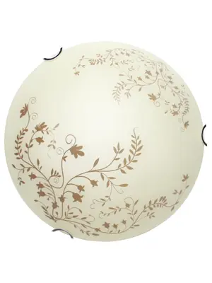Настенный светильник Arte Lamp Ornament A4920PL-1CC