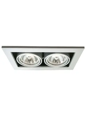 Встраиваемый светильник Arte Lamp Technika A5930PL-2SI