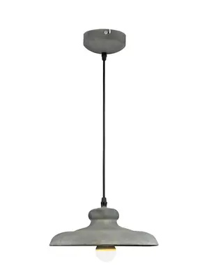 Подвесной светильник Arte Lamp Loft A5025SP-1BG