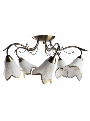 Потолочная люстра Arte Lamp Barbara A6066PL-5AB