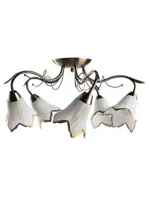 Потолочная люстра Arte Lamp Barbara A6066PL-5AB