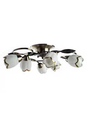 Потолочная люстра Arte Lamp 4 A6061PL-6AB