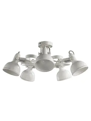 Потолочная люстра Arte Lamp Martin A5216PL-5WG