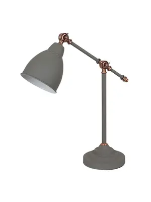 Настольная лампа Arte Lamp Braccio A2054LT-1GY