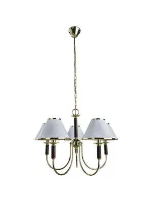 Подвесная люстра Arte Lamp Catrin A3545LM-5GO