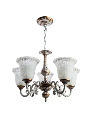 Подвесная люстра Arte Lamp 1 A1032LM-5WG
