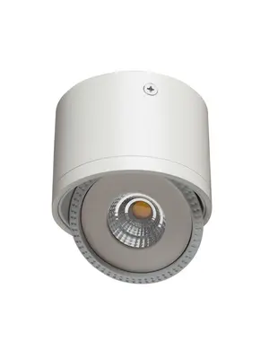 Потолочный светодиодный светильник Arte Lamp Studio A4105PL-1WH