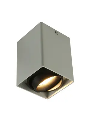 Потолочный светильник Arte Lamp A5655PL-1WH