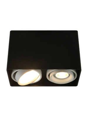Потолочный светильник Arte Lamp A5655PL-2BK