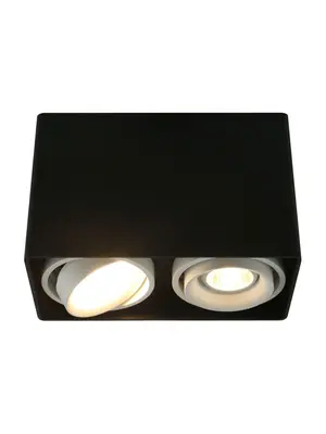 Потолочный светильник Arte Lamp A5655PL-2BK