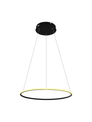 Подвесной светодиодный светильник Arte Lamp A2500SP-1BK
