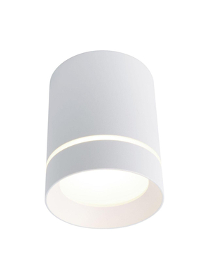 Потолочный светодиодный светильник Arte Lamp A1909PL-1WH