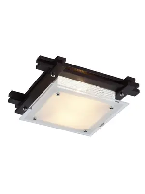 Потолочный светильник Arte Lamp 94 A6462PL-2CK