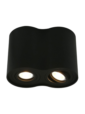 Потолочный светильник Arte Lamp A5644PL-2BK