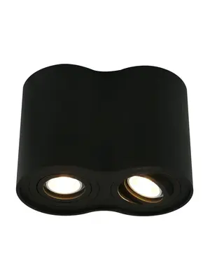 Потолочный светильник Arte Lamp A5644PL-2BK