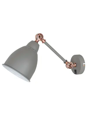 Спот Arte Lamp Braccio A2054AP-1GY