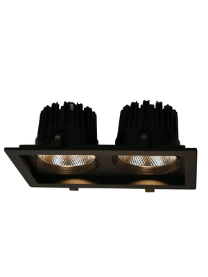 Встраиваемый светодиодный светильник Arte Lamp Privato A7018PL-2BK