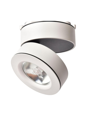 Светодиодный спот Arte Lamp A2511PL-1WH