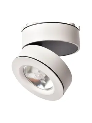Светодиодный спот Arte Lamp A2511PL-1WH