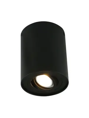 Потолочный светильник Arte Lamp A5644PL-1BK