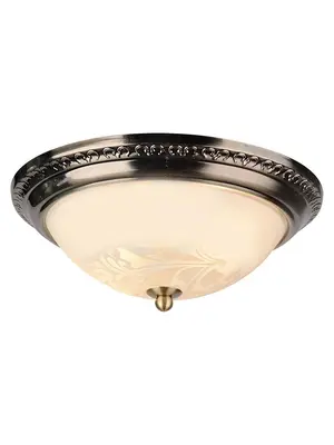 Потолочный светильник Arte Lamp 28 A3009PL-2AB