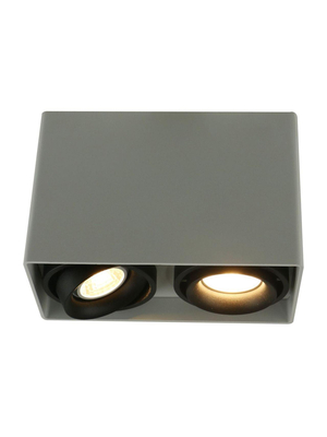 Потолочный светильник Arte Lamp A5655PL-2WH