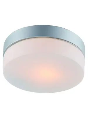 Потолочный светильник Arte Lamp Shirp A3211PL-1SI