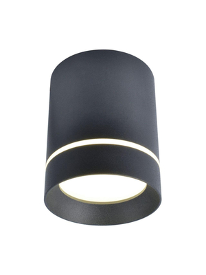 Потолочный светодиодный светильник Arte Lamp A1909PL-1BK