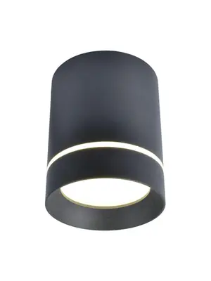 Потолочный светодиодный светильник Arte Lamp A1909PL-1BK