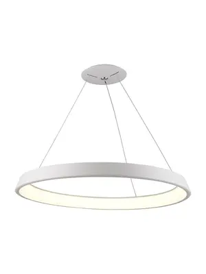 Подвесной светодиодный светильник Arte Lamp A6280SP-1WH