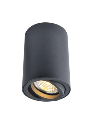 Потолочный светильник Arte Lamp A1560PL-1BK