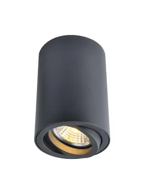 Потолочный светильник Arte Lamp A1560PL-1BK