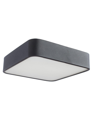 Потолочный светильник Arte Lamp Cosmopolitan A7210PL-2BK