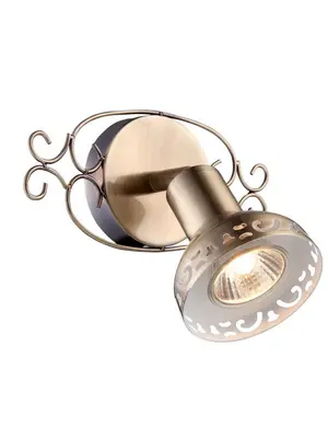 Спот Arte Lamp Focus A5219AP-1AB