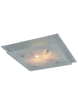 Потолочный светильник Arte Lamp A4866PL-2CC