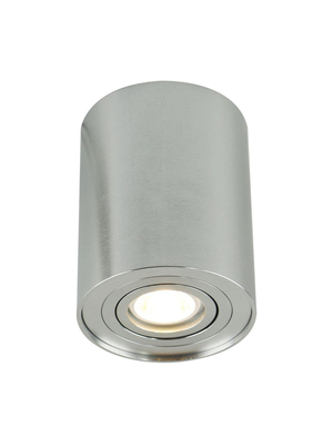 Потолочный светильник Arte Lamp A5644PL-1SI