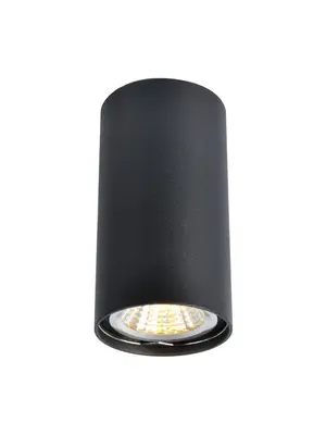 Потолочный светильник Arte Lamp A1516PL-1BK