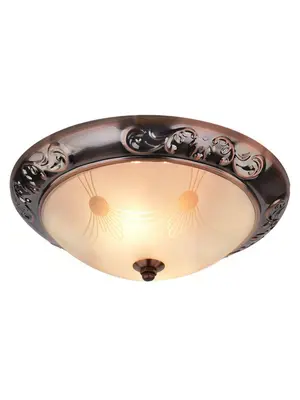 Потолочный светильник Arte Lamp 28 A3014PL-2AC
