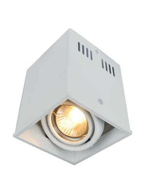 Потолочный светильник Arte Lamp Cardani A5942PL-1WH