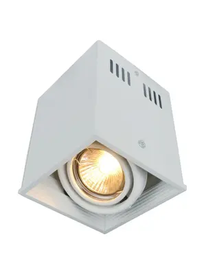 Потолочный светильник Arte Lamp Cardani A5942PL-1WH