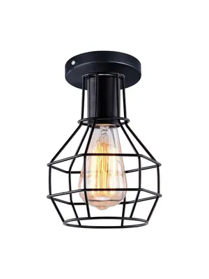 Потолочный светильник Arte Lamp A1109PL-1BK