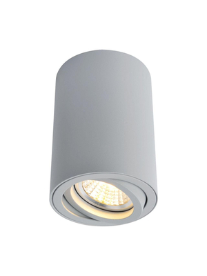 Потолочный светильник Arte Lamp A1560PL-1GY