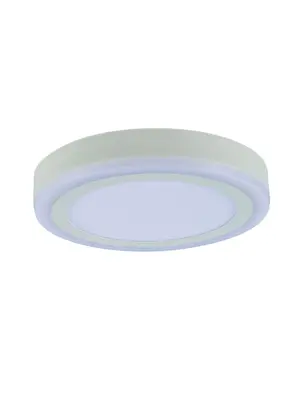 Потолочный светодиодный светильник Arte Lamp Antares A7816PL-2WH
