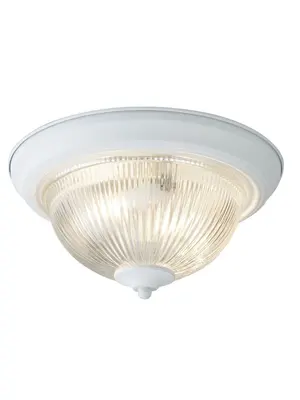 Потолочный светильник Arte Lamp Aqua A9370PL-2WH