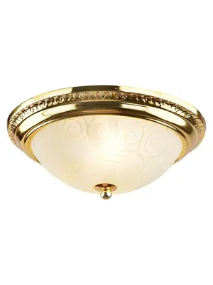 Потолочный светильник Arte Lamp 28 A3013PL-2GO