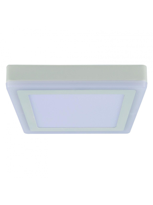 Потолочный светодиодный светильник Arte Lamp Altair A7716PL-2WH