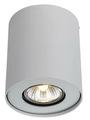 Потолочный светильник Arte Lamp Falcon A5633PL-1WH